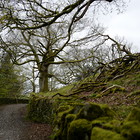 2023-04-28 Ambleside - Grasmere #1