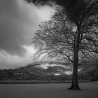 2023-04-30 Grasmere - Ambleside #2