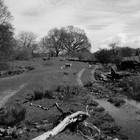 2023-04-26 Windermere - Ambleside #2