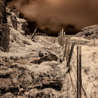 2018-05-12 Glengarriff - Adrigole #5