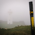 2018-05-15 Bere Island #1