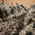 2018-05-16 Castletownbere - Eyeries #3