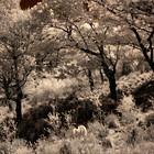 2018-05-18 Lauragh - Uragh #4