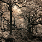 2018-05-19 Kenmare - Killarney #4