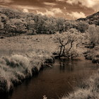 2018-05-19 Kenmare - Killarney #5