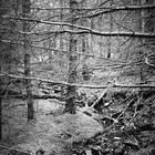 2006-06-05 Inverness - Drumnadrochit #4