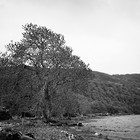 2006-06-09 Fort Augustus - Laggan #2