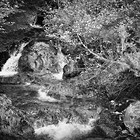 2006-06-10 Laggan - Gairlochy #1