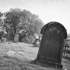 2006-06-10 Laggan - Gairlochy #2