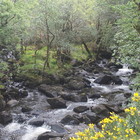 2014-05-20 Killarney - Black Valley #2