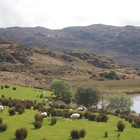 2014-05-21 Black Valley - Lough Acoose #6