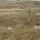 2014-05-24 Caherciveen - Waterville #1