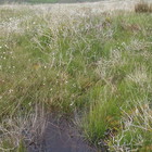 2014-05-24 Caherciveen - Waterville #2