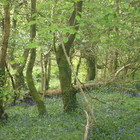 2014-05-25 Waterville - Caherdaniel #5