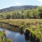 2014-05-28 Kenmare - Killarney #1