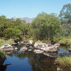 2014-05-28 Kenmare - Killarney #2