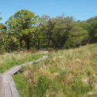 2014-05-28 Kenmare - Killarney #3