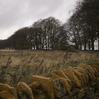 2014-11-13 Winchcombe - Chipping Campden #2