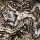 2015-04-22 Drymen - Rowardennan #2