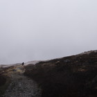 2015-04-26 Bridge of Orchy - Kingshouse #2