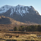 2015-04-26 Bridge of Orchy - Kingshouse #4