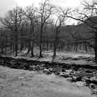 2023-04-19 Keswick - Grange #3