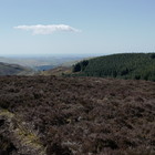 2023-04-20 Buttermere - Whinlatter Forest #1