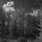 2023-04-25 Hawkshead - Windermere #1