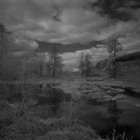 2023-04-25 Hawkshead - Windermere #2