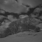 2023-04-25 Hawkshead - Windermere #4