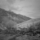 2023-04-27 Ambleside - Stagshaw Gardens - High Sweden Bridge #4