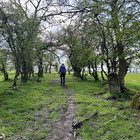 2024-04-21 Bakewell - Alport #1