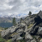 Tyrol and South Tyrol