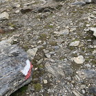 2024-09-11 Butzenspitze #2