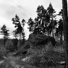 2024-11-02 Ilsenburg - Brocken - Schierke #3