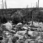 2024-11-02 Ilsenburg - Brocken - Schierke #6