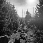 2024-11-03 Schierke - Zeterklippen - Ilsenburg #1