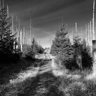 2024-11-03 Schierke - Zeterklippen - Ilsenburg #3