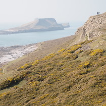 2025-03-24 Gowers (Rhossili - Scurlage) #1