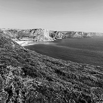 2025-03-24 Gowers (Rhossili - Scurlage) #2