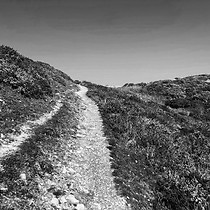2025-03-24 Gowers (Rhossili - Scurlage) #3
