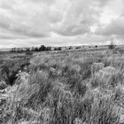 2025-03-29 Moorland (Fan Fawr) #1