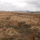 2025-03-29 Moorland (Fan Fawr) #3