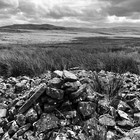 2025-03-29 Moorland (Fan Fawr) #4