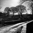 2025-03-30 Nant Ddu - Pen y Fan - Libanus #7