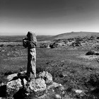 2025-04-06 Ivybridge - South Brent #4