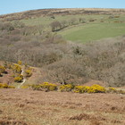 2025-04-06 Ivybridge - South Brent #6