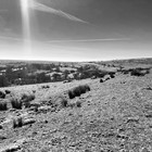 2025-04-07 South Brent - Buckfastleigh #1