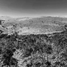 2025-04-07 South Brent - Buckfastleigh #3