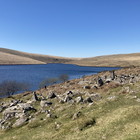 2025-04-07 South Brent - Buckfastleigh #5